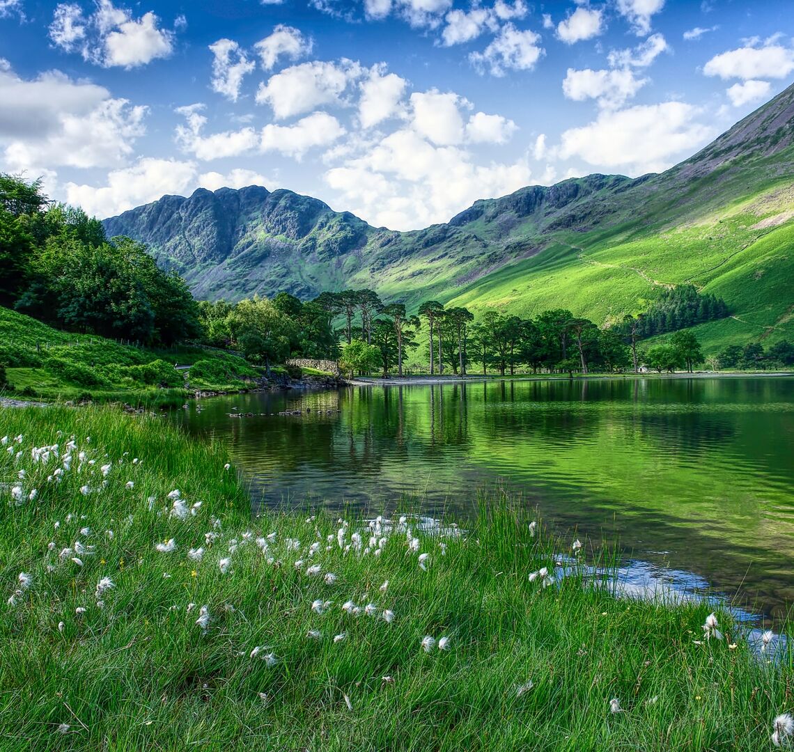 A nature scene highlighting a brighter greener future A nature scene highlighting a brighter greener future
